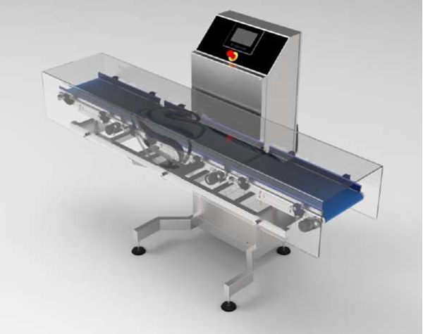 Imagen de Línea de inspección de peso